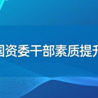 国资委干部工作能力提升培训专题