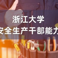 应急管理局安全生产和应急管理培训专题